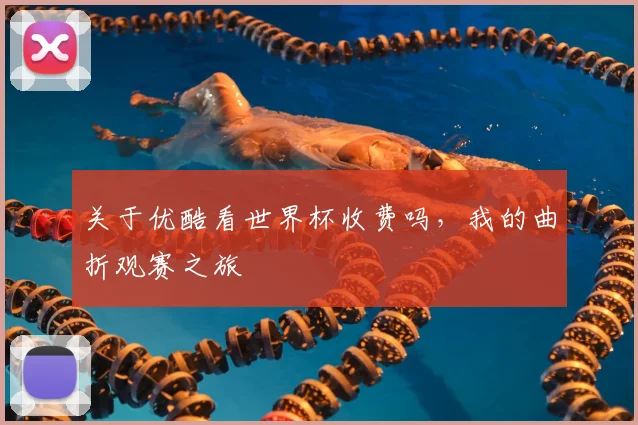 关于优酷看世界杯收费吗，我的曲折观赛之旅