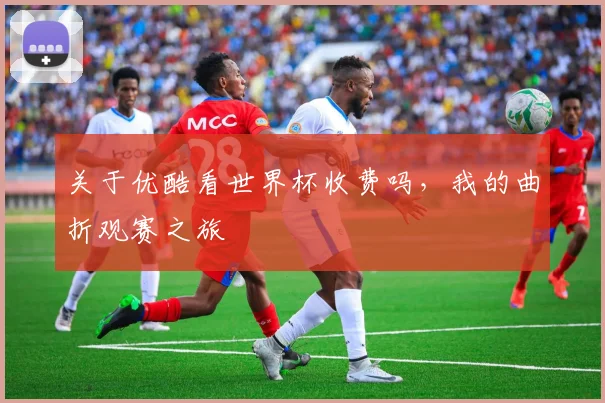 关于优酷看世界杯收费吗，我的曲折观赛之旅
