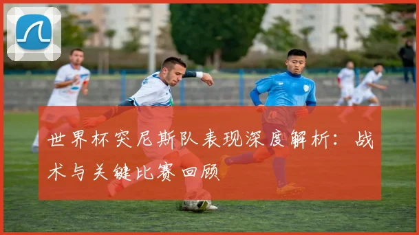 世界杯突尼斯队表现深度解析：战术与关键比赛回顾