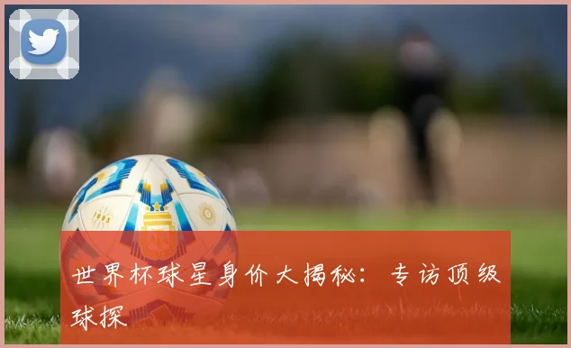 世界杯球星身价大揭秘:专访顶级球探