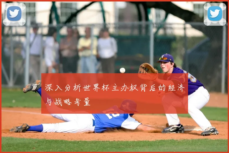 深入分析世界杯主办权背后的经济与战略考量