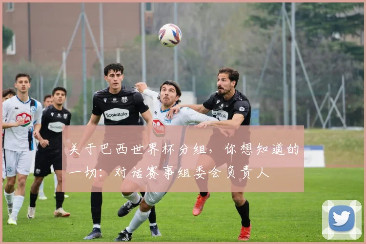 关于巴西世界杯分组,你想知道的一切:对话赛事组委会负责人